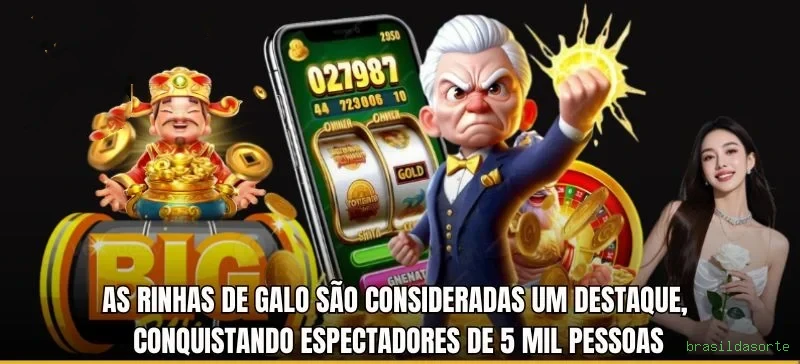 brasildasorte app de jogo para jogadores brasileiros
